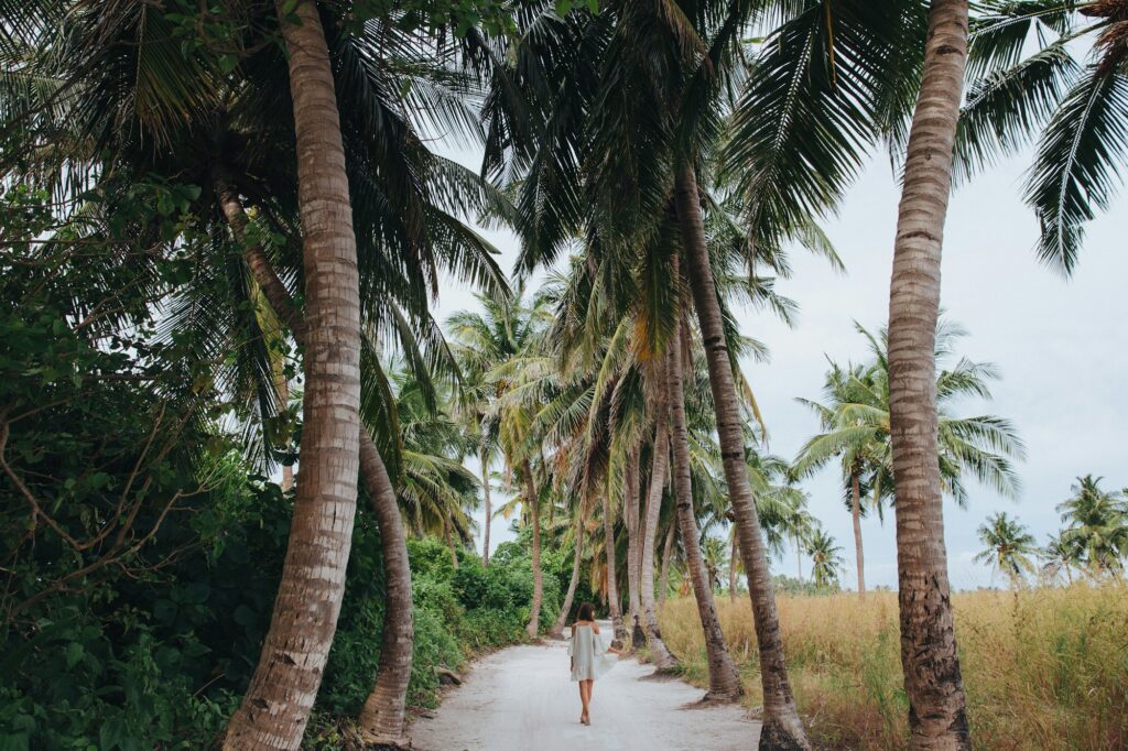 back view of girl walking between palm trees at Ukulhas island, Maldives