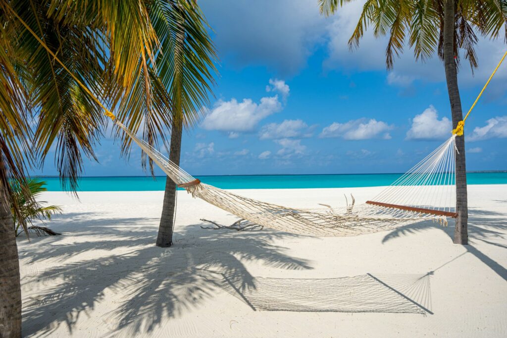 Lonely hammock at dreamy white beach between palm trees